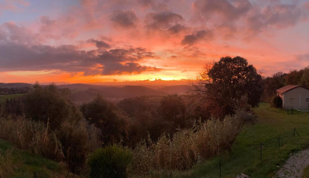 Agriturismo Anna-Rosa Legoli المظهر الخارجي الصورة