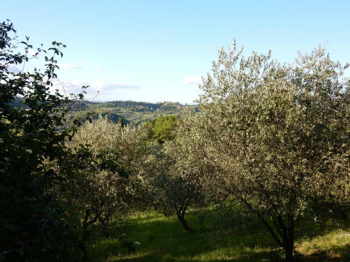 Agriturismo Anna-Rosa Legoli المظهر الخارجي الصورة