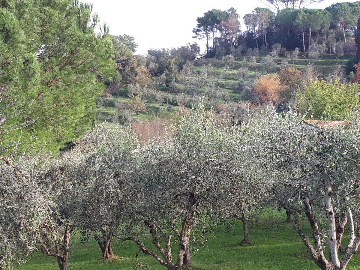 Agriturismo Anna-Rosa Legoli المظهر الخارجي الصورة